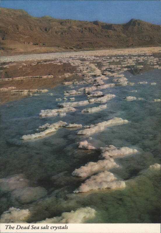 The Dead Sea Salt Crystals Israel Middle East