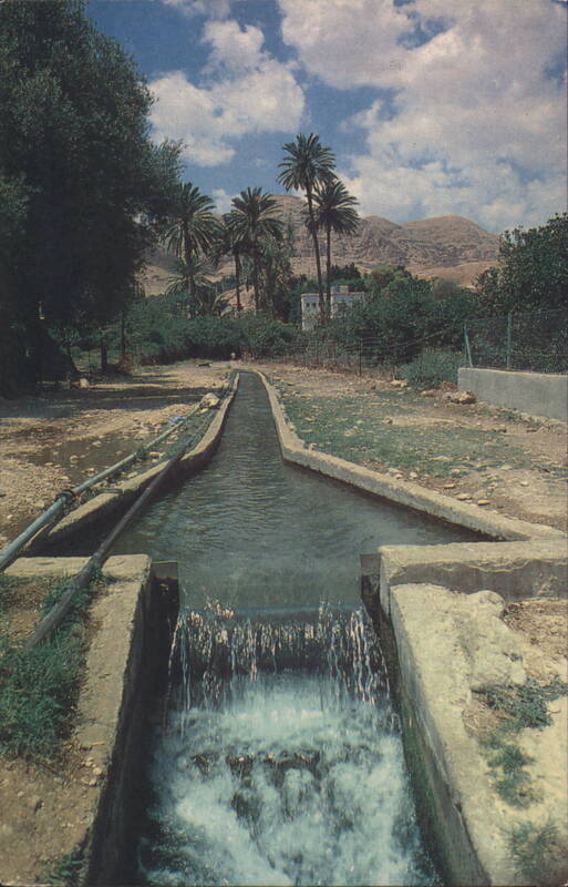 Spring of Elisha, Jericho - Water Channel and Palm Trees Palestine