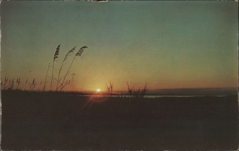 Everglades Grass Sunrise, Middle Cape, Gulf of Mexico Flamingo Florida
