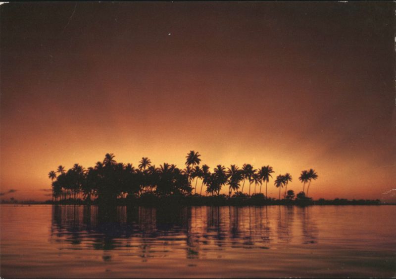 Motu Tapu, Bora-Bora Sunset with Palm Trees French Polynesia