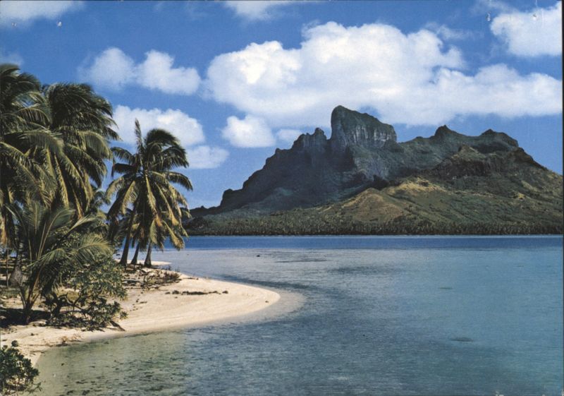 Bora-bora Beach with Palm Trees and Mountainous Island French Polynesia