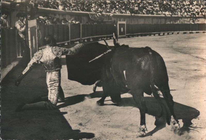 Corrida: Matador on Knee Performing Bullfight Pass