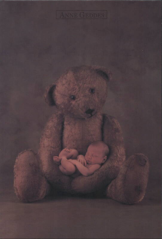 Baby Sleeping in Teddy Bear's Arms Anne Geddes Babies