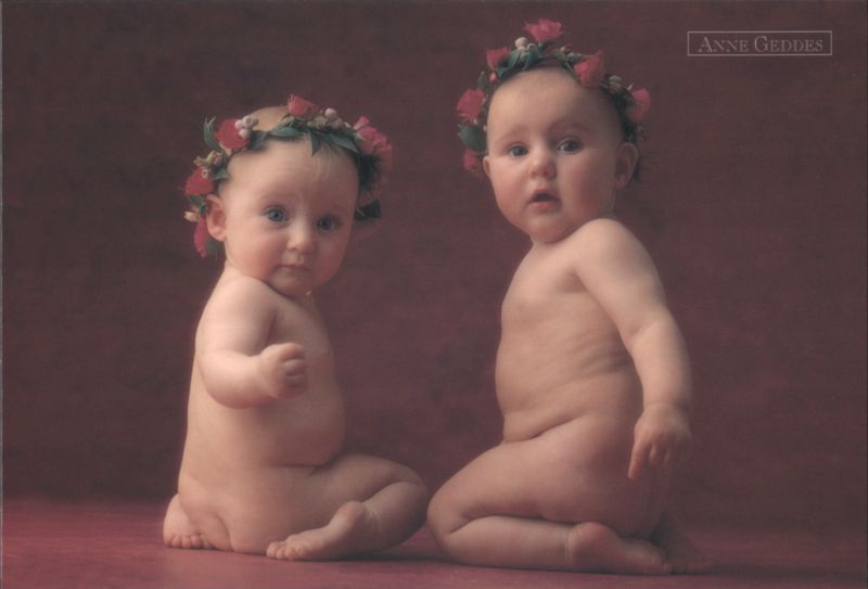 Anne Geddes Babies in Flower Wreaths Multiple Babies