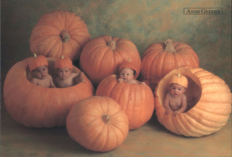 Babies in Pumpkins - Anne Geddes