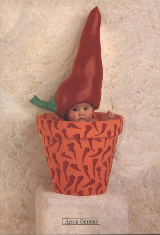 Anne Geddes Baby in Chili Pepper Costume and Pot Babies
