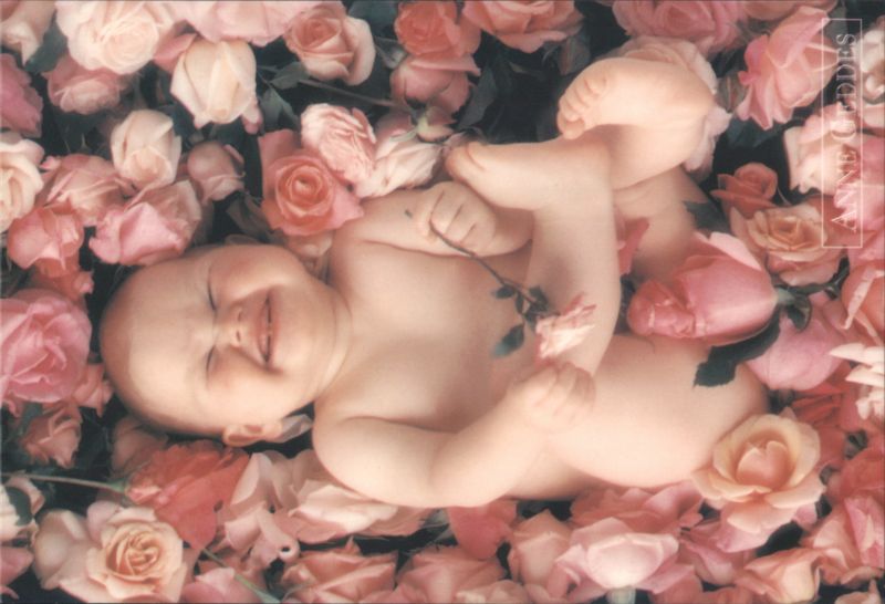 Smiling Baby in a Bed of Pink Roses by Anne Geddes