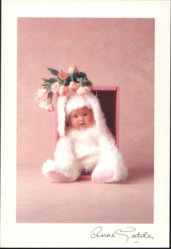 Baby in Bunny Costume with Pink Tulips Anne Geddes
