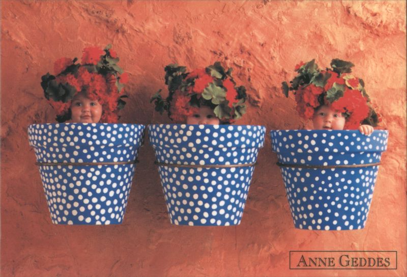 Babies in Polka Dot Pots with Red Flowers Anne Geddes