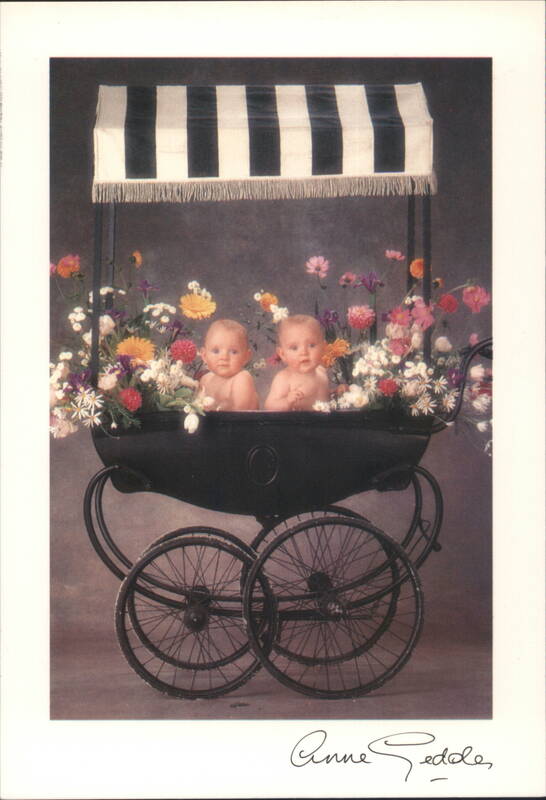 Two Babies in Floral Carriage by Anne Geddes Multiple Babies