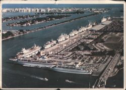 Miami's Dodge Island Seaport with Cruise Ships at Dock Postcard