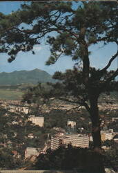 Pine Forest View, Peitou Hot Spring Hotel & Kuan Yin Mountain Postcard
