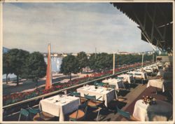Hotel Bellerive au Lac Restaurant Terrace, Zürich Postcard