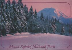 Mount Rainier National Park Winter Snow Scene Postcard