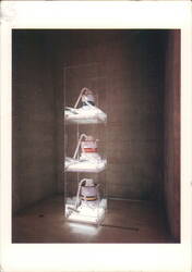 Jeff Koons New Shelton Wet/Dry Triple Decker, 1981 Postcard