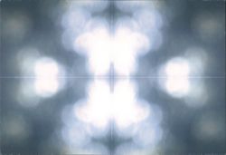 Bokeh, 2010 — Jennifer Parry Dodge Postcard