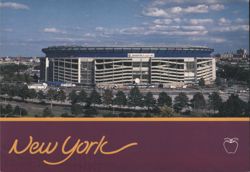 Shea Stadium, Flushing Meadows, New York Mets Baseball Postcard