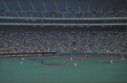 National League Expos Baseball at Olympic Stadium Postcard