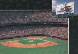 Mile High Stadium, Denver Broncos & Colorado Rockies Postcard
