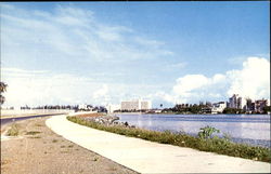 Baldorioty De Castro Ave Postcard