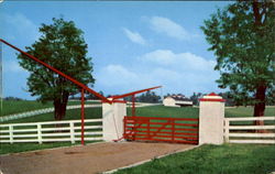 Calumet Farm Postcard