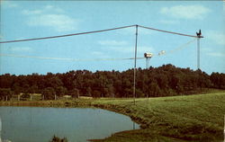 Buffalo Ranch Postcard