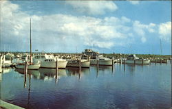 Yacht Harbor Postcard