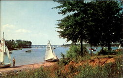 Sailboat Regatta North Carolina Postcard Postcard