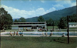 Tom Browne F. F. A. Camp Barnardsville, NC Postcard Postcard