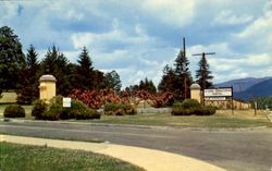 Entrance To Veterans Administration Hospital Oteen, NC Postcard Postcard