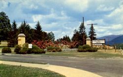 Entrance To Veterans Administration Hospital Postcard