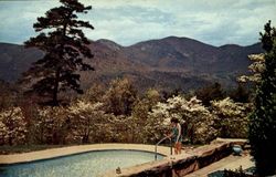 Dogwood In April At The Chalet Club Lake Lure, NC Postcard Postcard