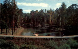 Lakewood Municipal Park Postcard