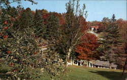 Little Switzerland North Carolina Postcard Postcard