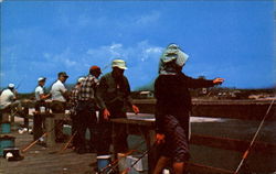 Ocean Pier Fishing Postcard
