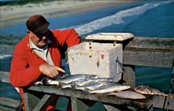 Santa's Rival In December North Topsail Beach, NC Postcard Postcard