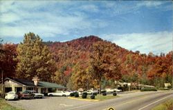 Woodland Motel & Restaurant, U. S. 441 Scenic, NC Postcard Postcard