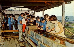 Panning For Real Gold Panning For Real Gold