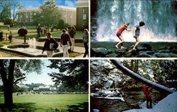 Brevard College North Carolina Postcard Postcard