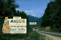 U. S. Highway at Soco Gap Postcard