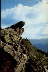 The Blowing Rock Postcard