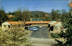 Rhododendron Court, 85 Merrimon Ave. Asheville, NC Postcard Postcard