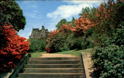 Biltmore House And Gardens Biltmore House And Gardens