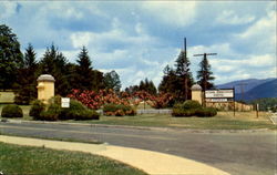 Entrance To Veterans Administration Hospital Postcard