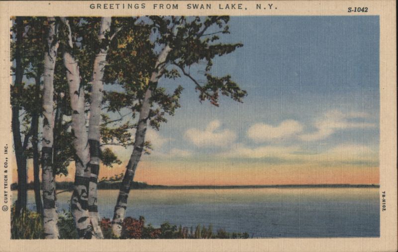 Birch Trees on Lake Shore at Sunset, Swan Lake New York