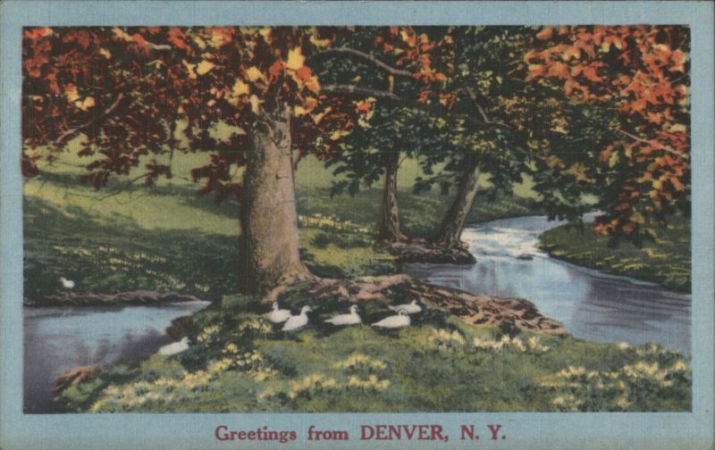 Scenic Stream, Autumn Trees, Ducks, Denver, NY New York
