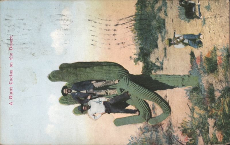 A Giant Cactus on the Desert Tucson Arizona