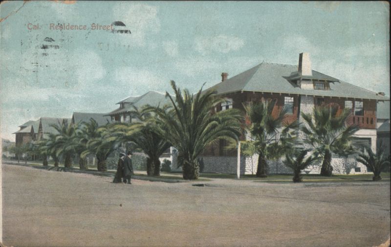 Residence Street with Palm Trees Los Angeles California