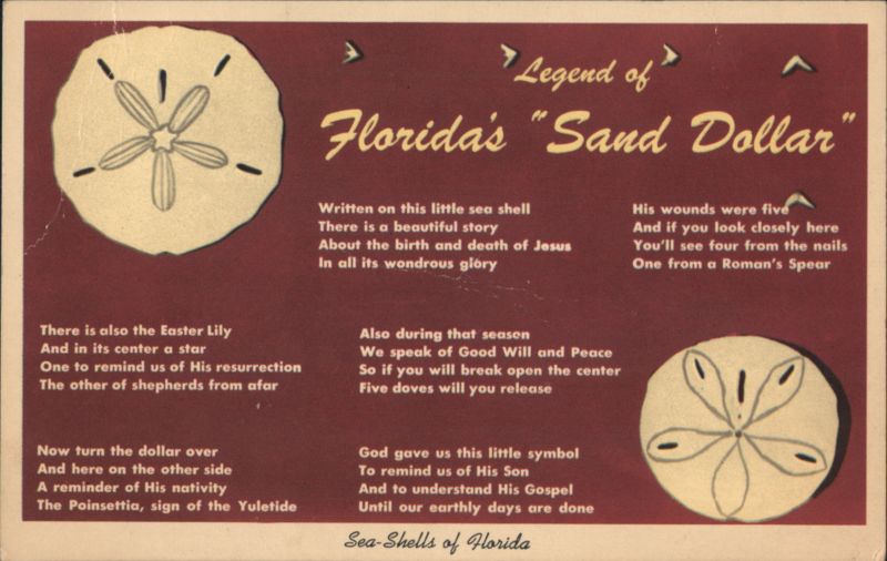 Legend of Florida's Sand Dollar Religious Symbolism