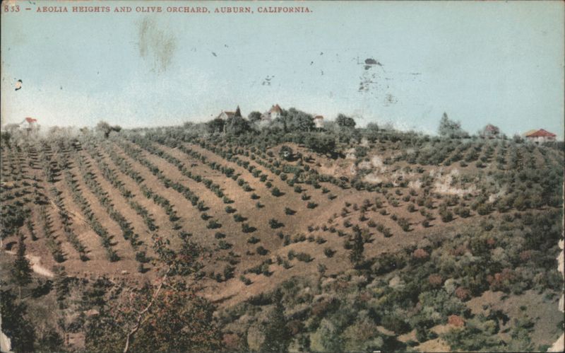AEOLIA HEIGHTS AND OLIVE ORCHARD, AUBURN, CALIFORNIA